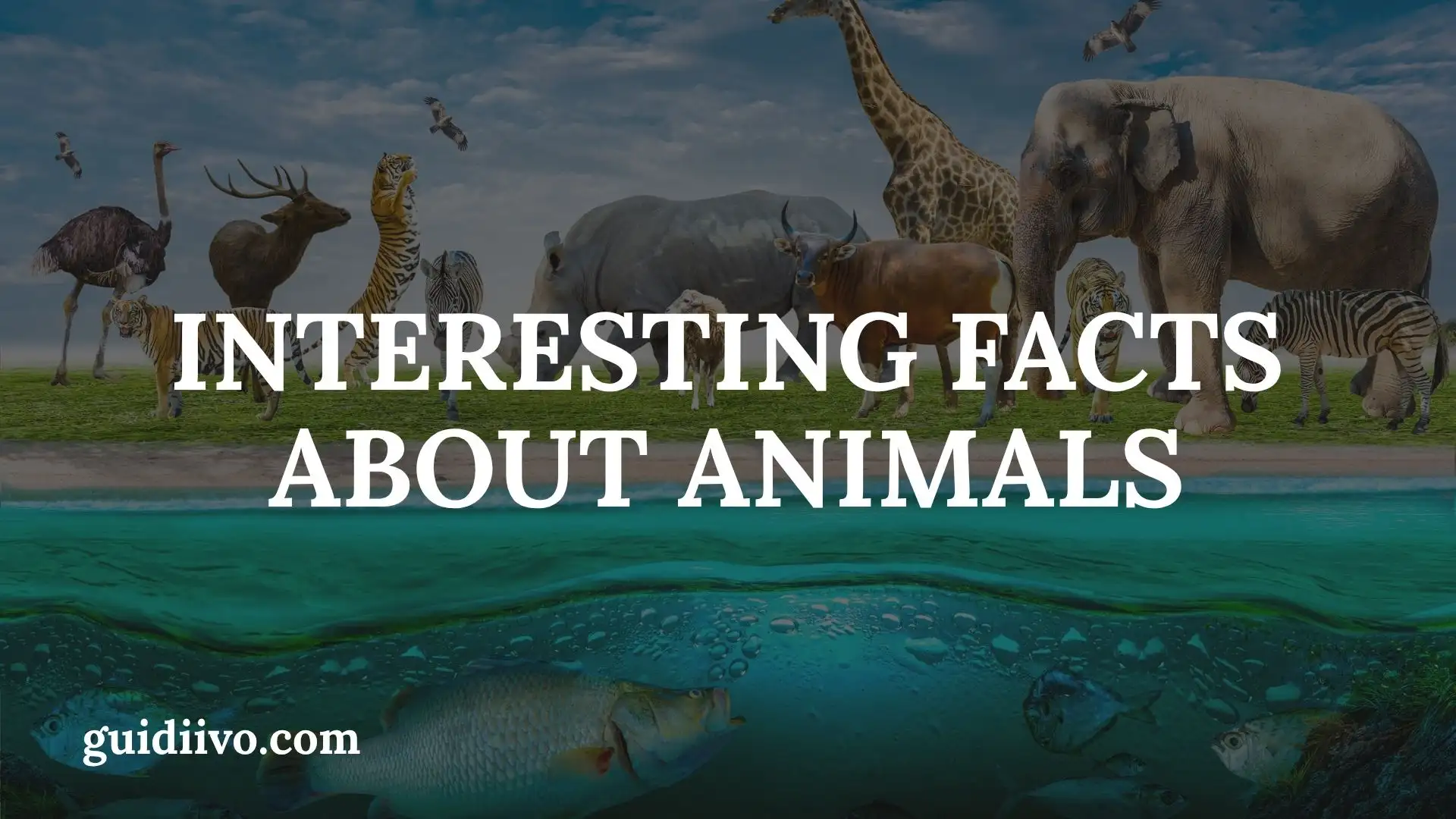 35 Interesting Facts About Animals That Reveal the Wonders of Nature