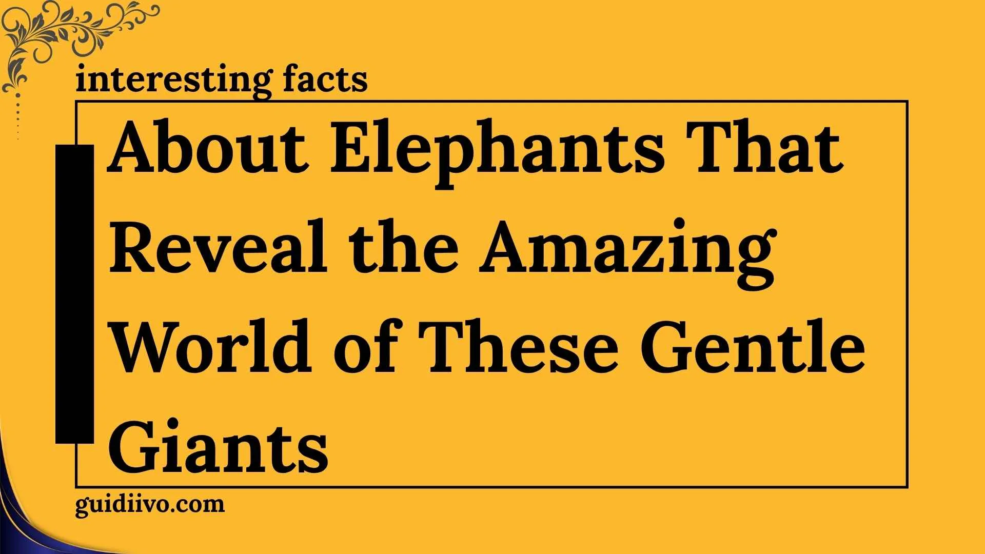 interesting facts about elephants