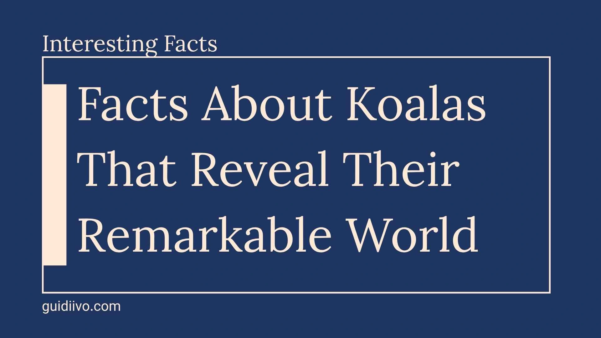 35+ Interesting Facts About Koalas That Reveal Their Remarkable World