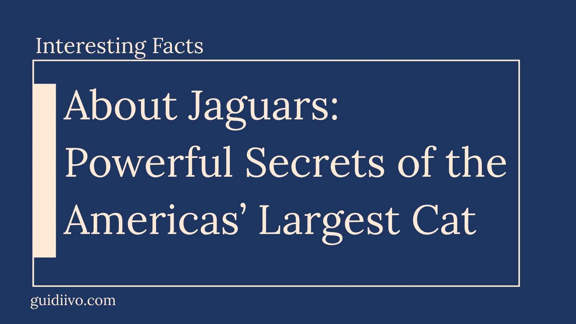 35 Interesting Facts About Jaguars: Powerful Secrets of the Americas’ Largest Cat