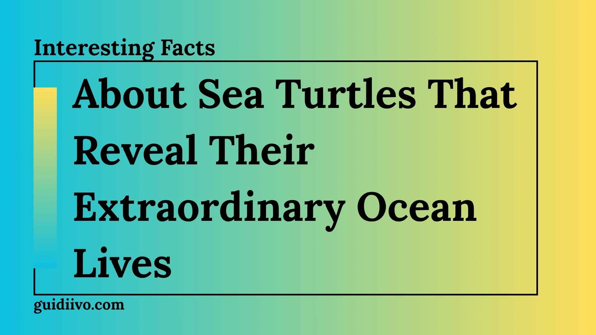 30 Interesting Facts About Sea Turtles That Reveal Their Extraordinary Ocean Lives